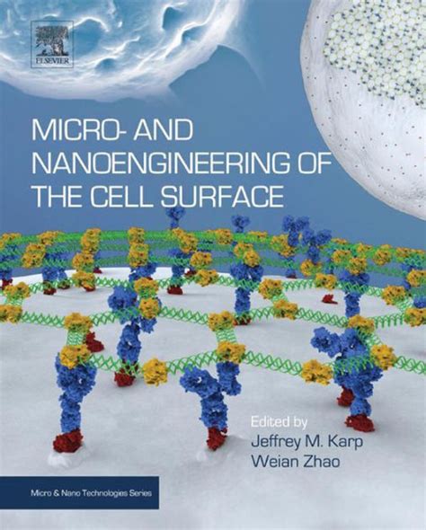 Micro and nanoengineering of the cell surface. - Mazda levante proceed 1995 descargar manuales.