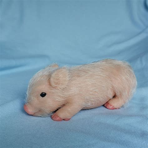Silicone Piglet Soft Lifelike Animal Pig Doll Painted 5 Inches Mini Full Miniature Reborn Piglet, Art Doll Gift (Spot Tom) (157) £63.80. £98.15 (35% off) FREE UK delivery..