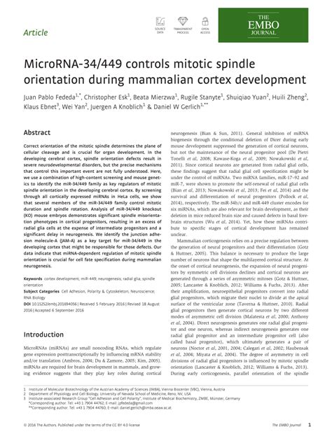 MicroRNA-34/449 controls mitotic spindle orientation during