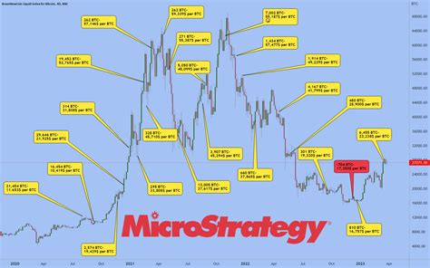 MicroStrategy's Bitcoin Holdings: A Macro Perspective