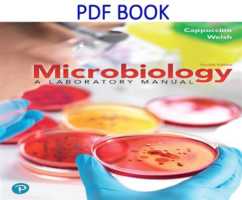 Microbiology a laboratory cappuccino manual answer. - Nouvelle chimie du goût et de l'odorat.