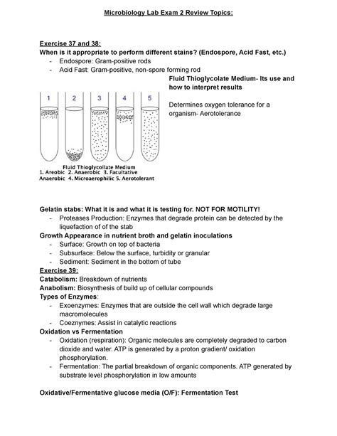 Microbiology lab exam 2 study guide. - Solution manual to accompany mechanics of fluids.