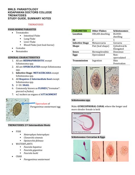 Microbiology lab practical parasitology study guide. - Physical chemistry david w ball solution manual.