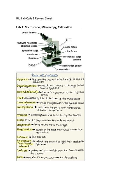 Microbiology Lab Quiz 1. As magnification increas