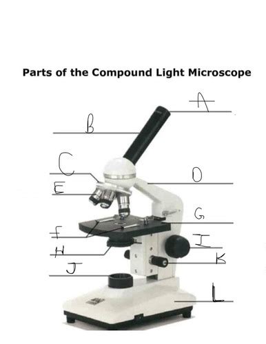 Microbiology midterm part 4 Flashcards Quizlet