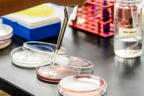 Microbiology summer classes. Summer 2024. Course offerings available November 15. Summer Registration beings January 8. Sessions begin May 20, June 10, and July ... 
