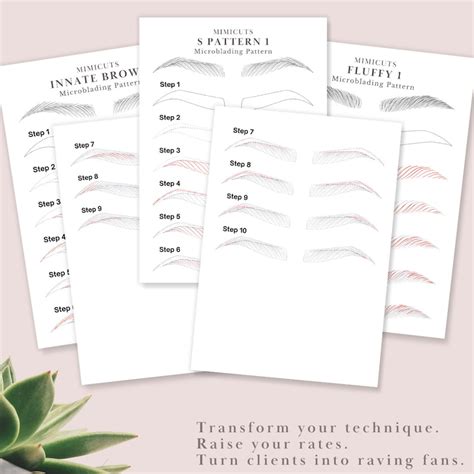 Microblading Patterns Stepbystep Microblading Stroke Etsy