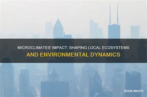 Microclimates and Their Soaring Impact