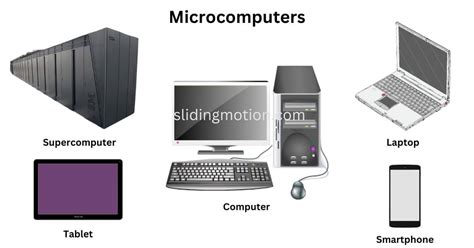 Microcomputers In The Neurosciences