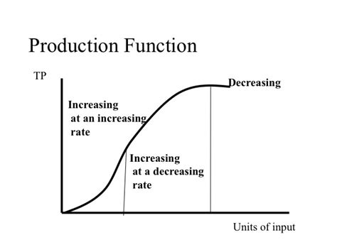 Microeconomics production function questions.  14.  Feb 14, 2026 · Micro...