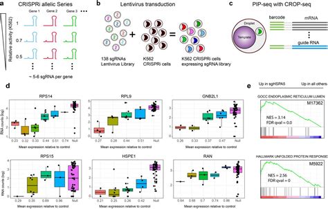 Microfluidicsfree singlecell genomics with templated emulsification