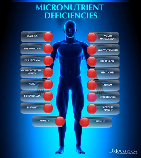Micronutrient Testing