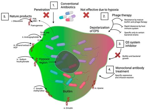 Microorganisms Free Full-Text Infection Induced Fetal …