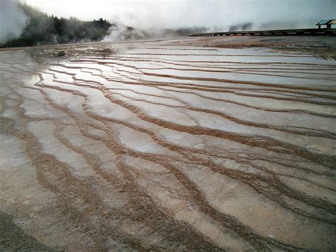 Microorganisms of Yellowstone National Park - Microbiologics Blog