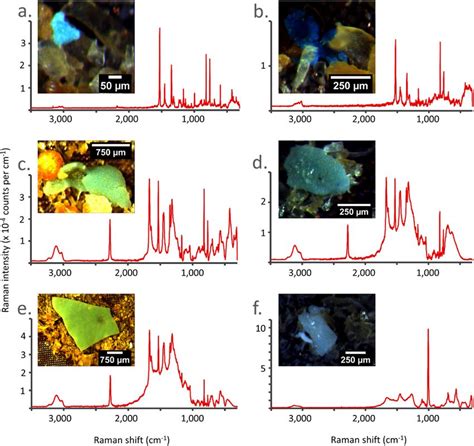 Microplastics in fish and fishmeal: an emerging environmental