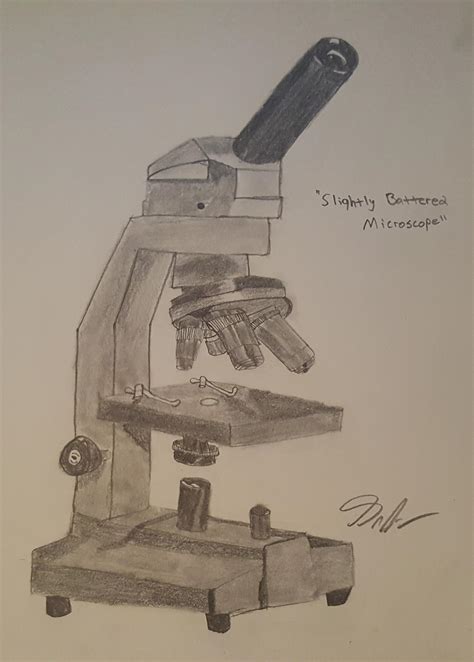 Microscope Drawing, sketching and Value Practice r/learnart