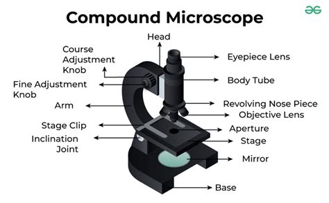 Microscope diagram.  The compound microscope is more complicated than just a microscope with m...