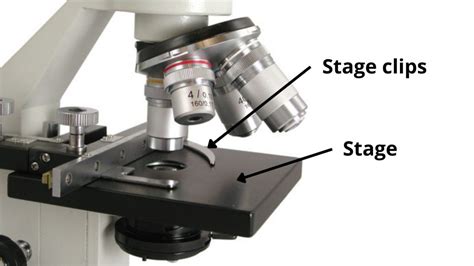 Microscope stage clip.  Professional high quality microscopes, microsc...