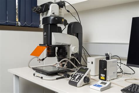 University Imaging Centers. The University Imaging Centers (UIC) offers equipment and support for light and electron microscopy, spatialomics, tissue clearing, in-vivo imaging from subcellular to whole animals, image analysis & visualization, sample preparation, slide scanning, large format poster printing, and 3D printing.. 