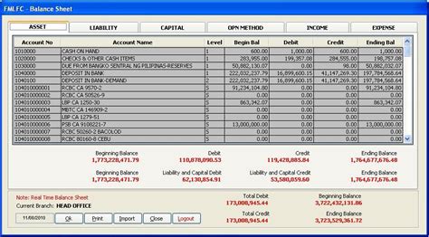 Microsoft Visual Foxpro General Ledger Balance Sheet