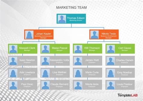 Microsoft Word 2007 Org Chart TemplateDownload Free Software Programs