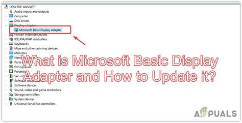 Microsoft basic display adapter.  Find out the benefits of using the disp...