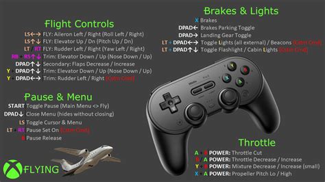 Microsoft flight simulator x controls guide. - Briggs and stratton 22hp vanguard engine manual.