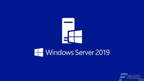 Microsoft operation system win server 2019 2024