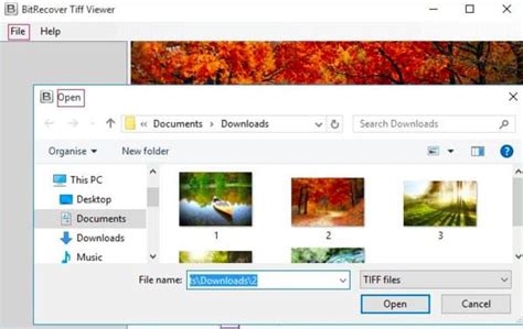 Microsoft tiff viewer.  ++ Open file with default app.  In addition, you can directly...
