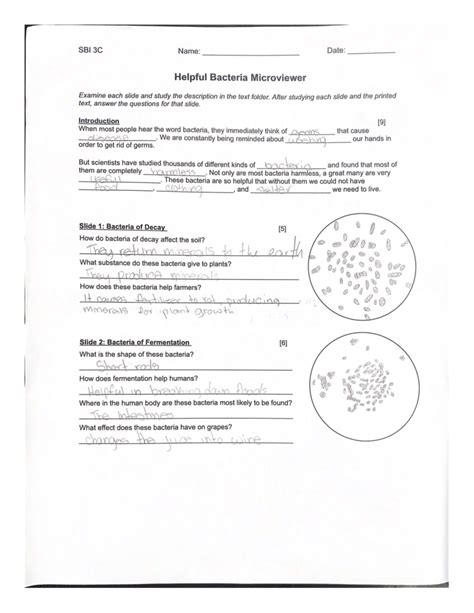 Microviewer 5 Kingdoms Questions