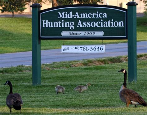 Mid-America Hunting Association, Grandview, MO. 66,139 likes · 2 talking about this. Kansas hunting, Iowa Hunting, Missouri Hunting for deer, pheasant, quail, waterfowl, turkey and fishi. 
