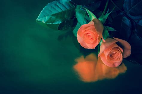 Mid valley obituaries.  Videos Obituaries Local Events Classifieds Services About Us Advertisin...