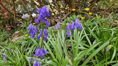 Mid west funerals obituaries.  Tipperary.  Read Midwest Cremation & Funer...