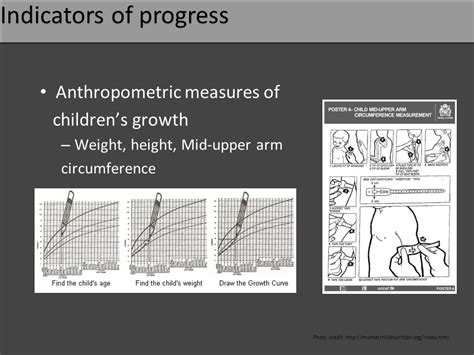 Mid-upper arm circumference as an indicator of …