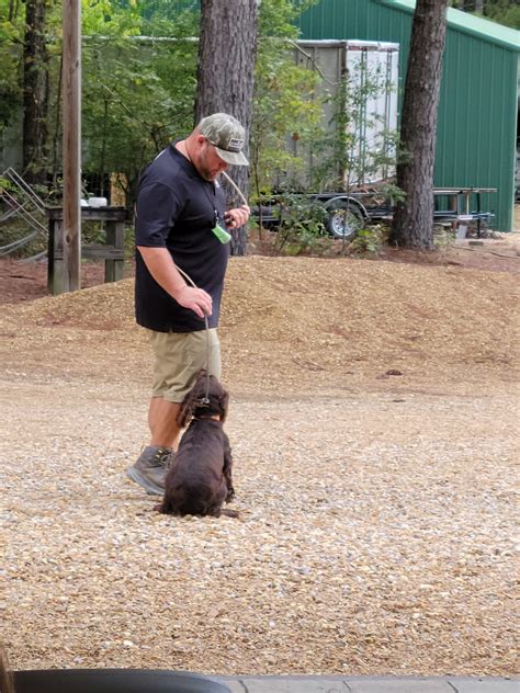 MidSouth Boykin Spaniel Retriever Club (MSBSRC) - Facebook