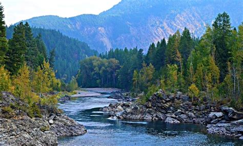 Middle Fork Flathead River, Montana Fishing Report