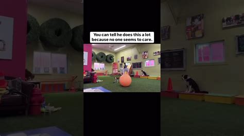 Middle child energy.  Plus, why it&rsquo;s a good thing to be in the middle of a family.  Mar 2,...