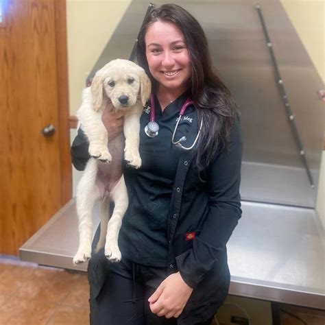 Middletown vet. Emergency Pet Care Near Me. We’re prepared to help with any pet emergency you may have. Click here to Make An Appointment or call us at (732) 671-1503 today! 