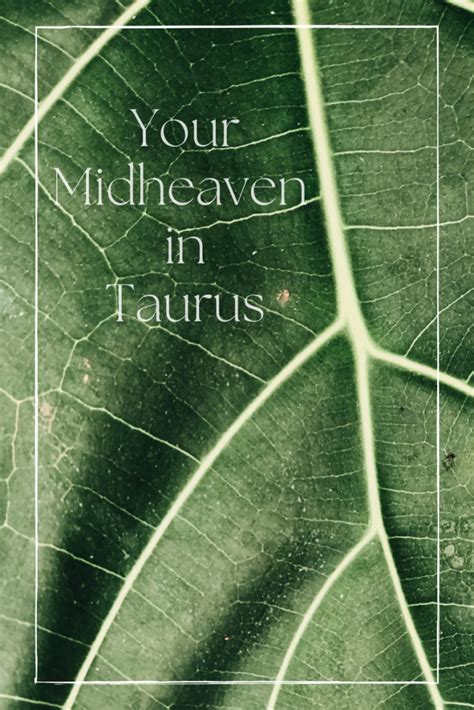 Midheaven (MC) in Taurus, North Node (NN) in Taurus