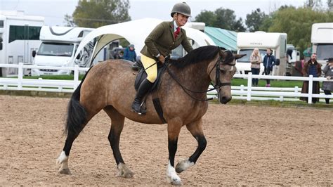 Midlands Welsh Pony and Cob Association Brightwells …