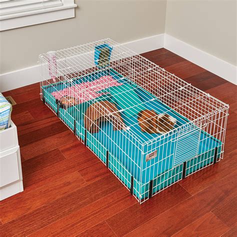 MidWest Homes for Pets Guinea Habitat Plus Guinea Pig Cage by MidWest w/ Top Panel, 47L x 24W x 14H Inches. 23,352. 600+ bought in past month. $5999. List: $78.99. Save $12.00 with coupon. FREE delivery Thu, Oct 19. More Buying Choices. $57.59 (12 …
