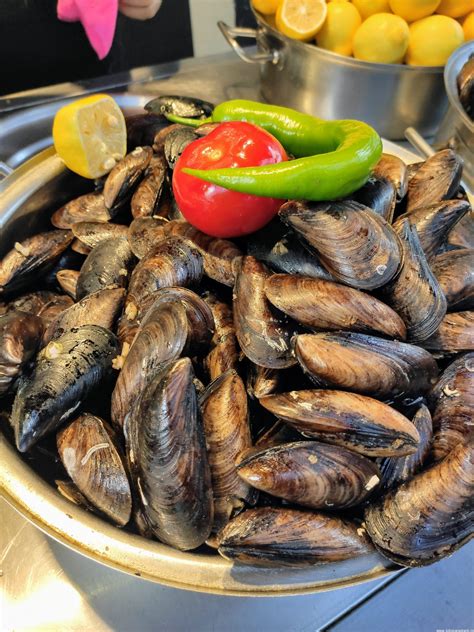 Midye Halı ve Koltuk Yıkama