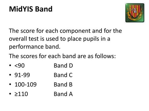 Midyis Sample Tests