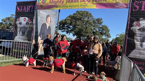 Mighty Texas Dog Walk raises money for local non-profit