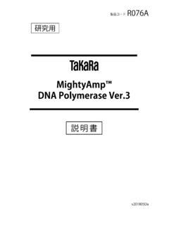 MightyAmp™ DNA Polymerase Ver