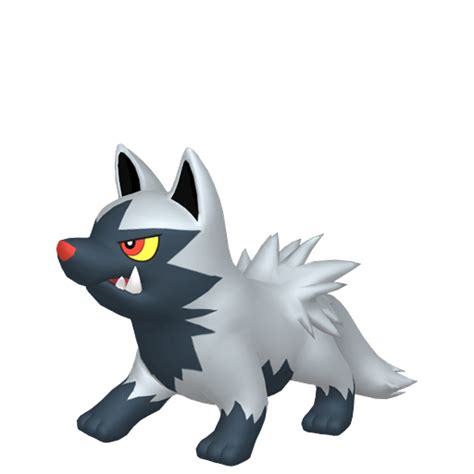 Mightyena • Generation VIII Pokédex • Marriland.com