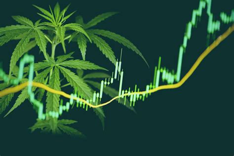 Migliori Azioni di Marijuana da Comprare per Investire