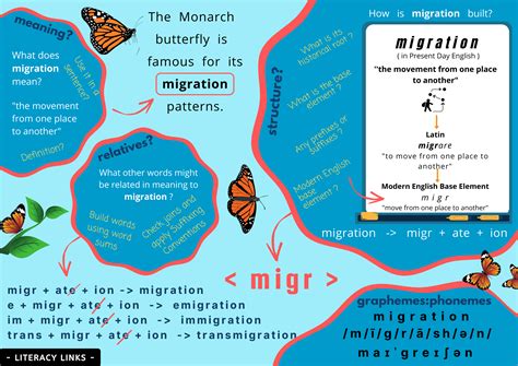 Migr&auml;n in English - Swedish-English Dictionary: Glosbe