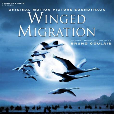 Migration - Song Download from Walking Man @ JioSaavn