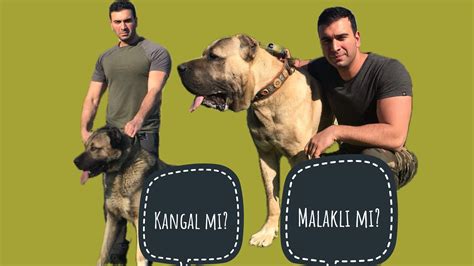 Mikangal Leaks [PPV] 🍑 18 Photos
